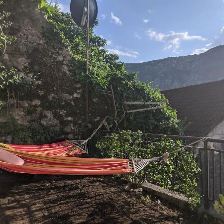 Best View! Rooftop With Garden - Old Town Nr404 Kotor Zewnętrze zdjęcie