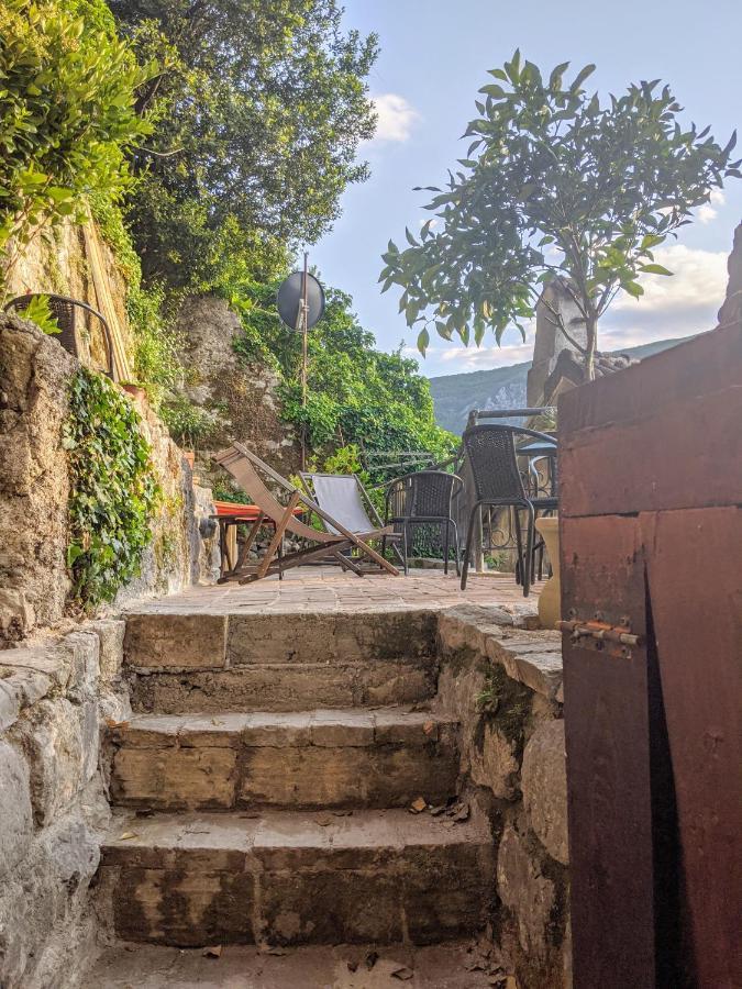 Best View! Rooftop With Garden - Old Town Nr404 Kotor Zewnętrze zdjęcie