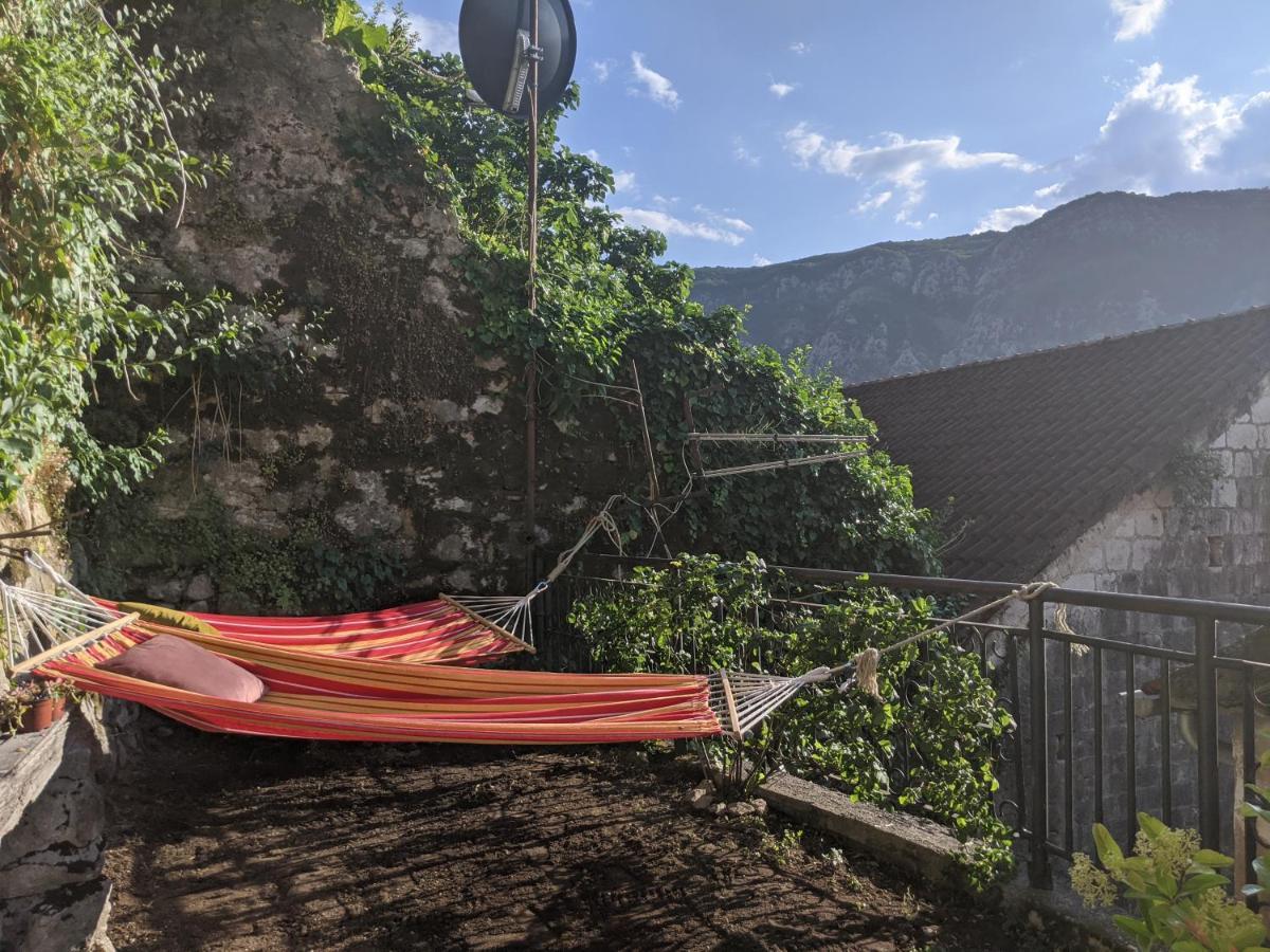 Best View! Rooftop With Garden - Old Town Nr404 Kotor Zewnętrze zdjęcie