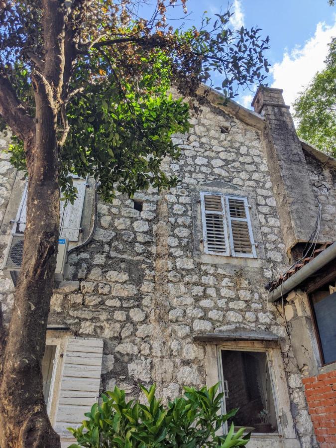 Best View! Rooftop With Garden - Old Town Nr404 Kotor Zewnętrze zdjęcie
